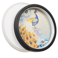 Бра "Павлин" LED 21Вт 4000К черно-белый 19х23х5 см Бра "Павлин" LED 21Вт 4000К черно-белый 19х23х5 см