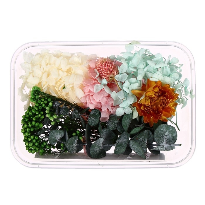 Набор для творчества «Набор сухоцветов», большой, розовый, жёлтый, голубой, зелёный Набор для творчества «Набор сухоцветов», большой, розовый, жёлтый, голубой, зелёный