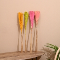 Набор сухоцветов 80 см (10 шт) микс