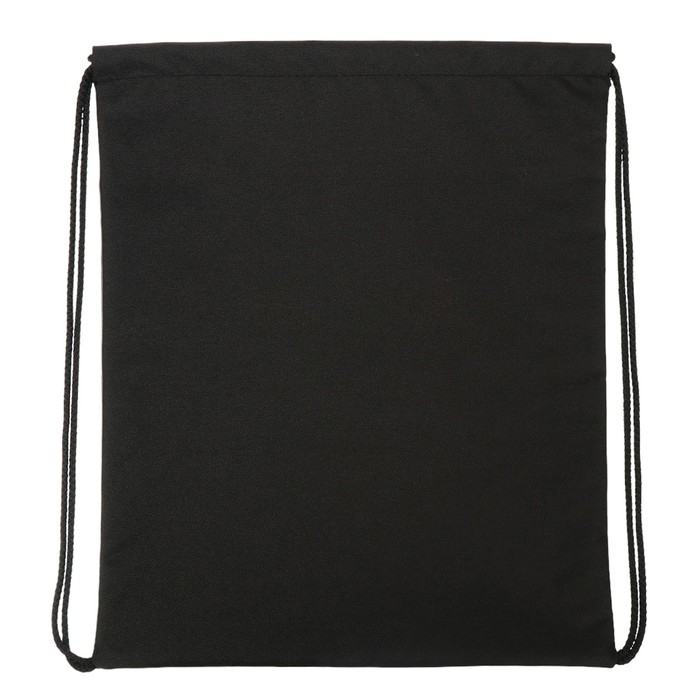 Мешок для обуви 435 х 360 мм, Stavia (плотность 600D с водоотталкивающей ПУ-пропиткой) "Динозавр"