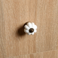 Ручка-кнопка ТУНДРА, d=39, пластик, белая Ручка-кнопка ТУНДРА, d=39, пластик, белая