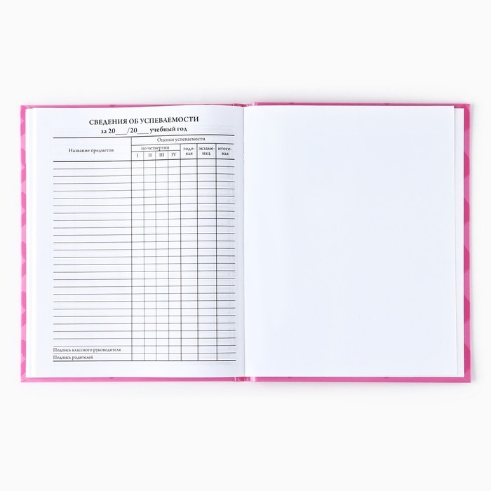 Дневник школьный для 1-11 класса, в твердой обложке, 40 л. &laquo;XO&raquo;