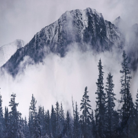 Штора для ванны Доляна &laquo;Сумерки&raquo; с люверсами, 180&times;180 см