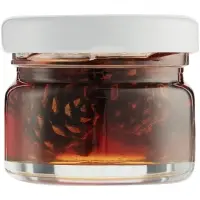 Варенье из сосновых шишек Foresta Mini Варенье из сосновых шишек Foresta Mini