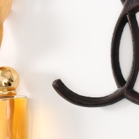 Крючки декоративные чугун "Листья Гинкго" 22х17,5х3,2 см Крючки декоративные чугун "Листья Гинкго" 22х17,5х3,2 см