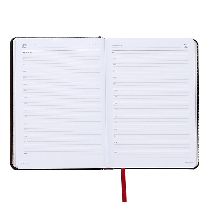 Ежедневник недатированный А5+, 136 листов Sidney Nebraska, твёрдая обложка, искусственная кожа, золотой срез, чёрный