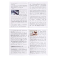 Мемо &laquo;Птицы России&raquo;