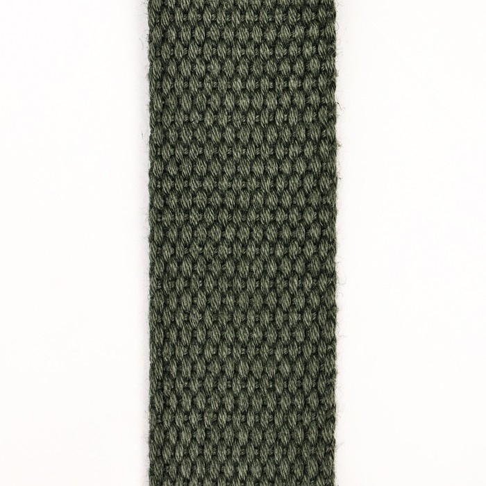 Поводок брезентовый 10 м х 2,5 см, тёмно-зелёный