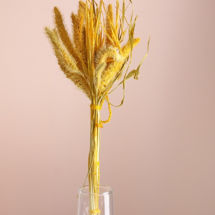Набор сухоцветов "Сетария", банч 7 шт, длина 55-65 (+/- 6 см), желтый