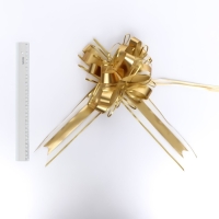 Бант-шар №6.5