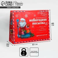 Пакет подарочный новогодний ламинированный &laquo;НГ посылка&raquo;, XXL 46 х 61 х 20 см, Новый год