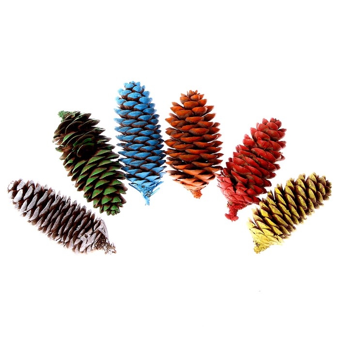 Набор еловых шишек для декора &laquo;Цветные&raquo; 6 шт., МИКС