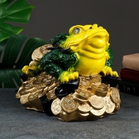 Копилка "Жаба большая на деньгах" 26х32х22см Копилка "Жаба большая на деньгах" 26х32х22см