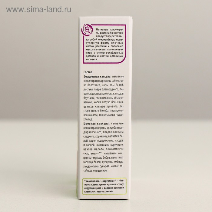 Комплекс «Сустарад», натуральный, здоровые суставы, 30 капсул по 0,5 г Комплекс «Сустарад», натуральный, здоровые суставы, 30 капсул по 0,5 г