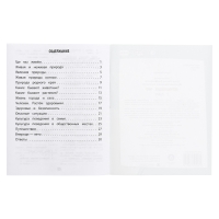 Тренажёр «Окружающий мир» 2 кл. Тренажёр «Окружающий мир» 2 кл.