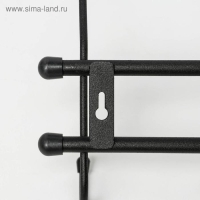 Вешалка настенная &laquo;Стандарт&raquo;, 5 крючков, цвет чёрный