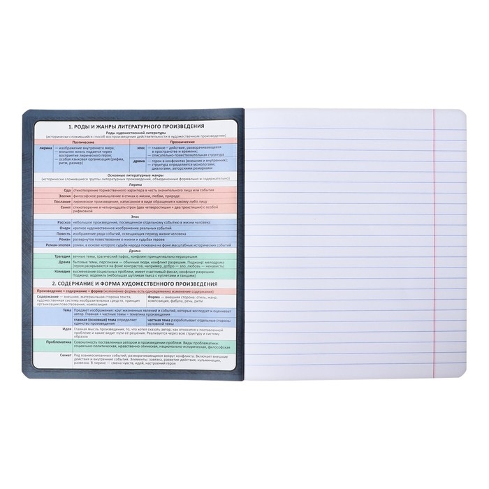 Тетрадь предметная ЛИТЕРАТУРА, 48 листов в линейку, ErichKrause Тетрадь предметная ЛИТЕРАТУРА, 48 листов в линейку, ErichKrause "Чубрик", пластиковая обложка, шелкография, блок офсет 100% белизна, инфо-блок