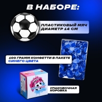 Набор для гендер пати &laquo;Шар с конфетти&raquo;, мальчик