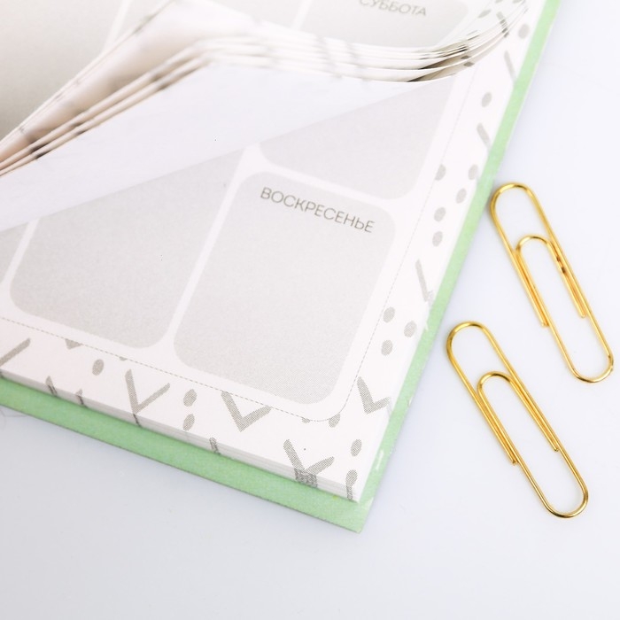 Планер с отрывными листами "Мои планы на день", 50 листов