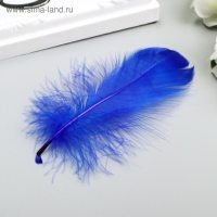 Перья декоративные "Карнавальные", 5-8 см (набор 24 шт) 6 цветов, яркие, ассорти Перья декоративные "Карнавальные", 5-8 см (набор 24 шт) 6 цветов, яркие, ассорти