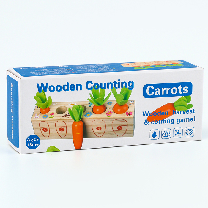 Развивающий набор &laquo;Посади разные морковки&raquo; 20 &times; 5,5 &times; 5 см