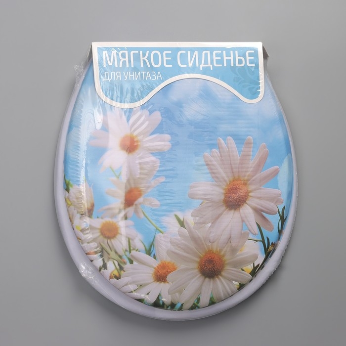 Сиденье для унитаза с крышкой Доляна «Ромашки», 42×36,5 см Сиденье для унитаза с крышкой Доляна «Ромашки», 42×36,5 см