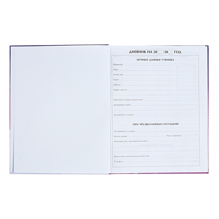 Дневник для 1-4 классов Дневник для 1-4 классов "Нежные мечты", твёрдая обложка, голография, 48 листов