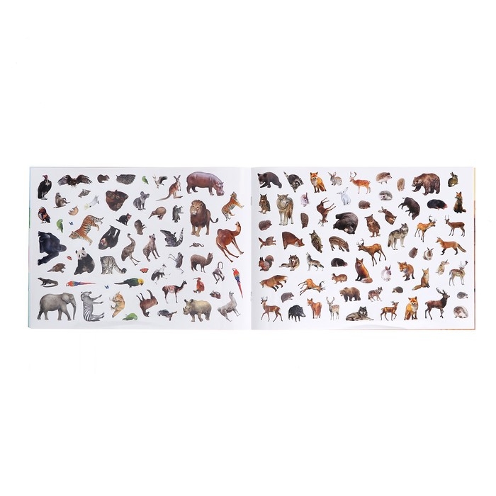 Книжка 500 наклеек &laquo;Животные&raquo;, 8 стр.