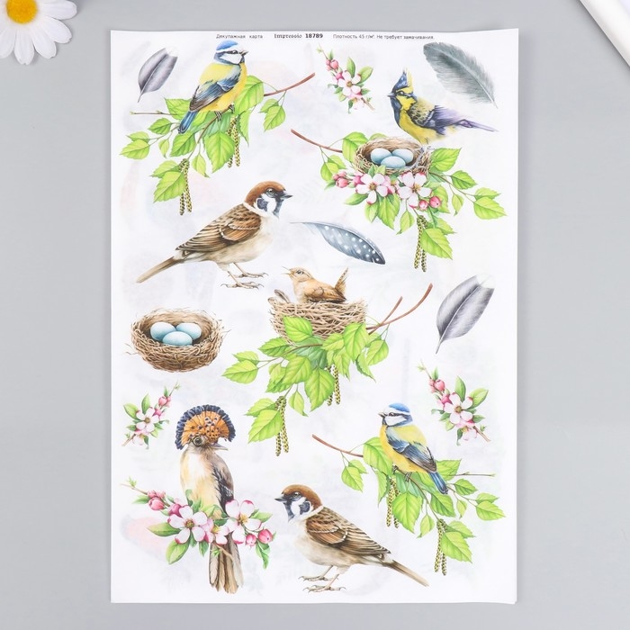 Набор декупажных карт 6 шт &laquo;Птицы&raquo;