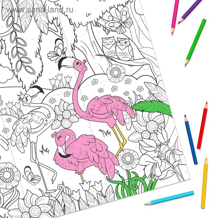 Раскраска-гигант по номерам «Удивительный мир», 59 × 84 см Раскраска-гигант по номерам «Удивительный мир», 59 × 84 см