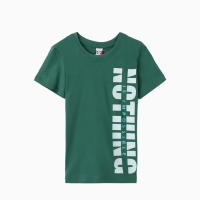 Футболка для мальчика, цвет зелёный, рост 176 см