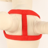 Шлейка "Комфорт" комбинированная, 1,5 см, ОШ 36-50 см, ОГ 40-55 см, красная Шлейка "Комфорт" комбинированная, 1,5 см, ОШ 36-50 см, ОГ 40-55 см, красная