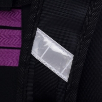 Рюкзак каркасный школьный 38 х 30 х 16 см, эргономичная спинка, Stavia "Тильда", голубой/сиреневый/серый