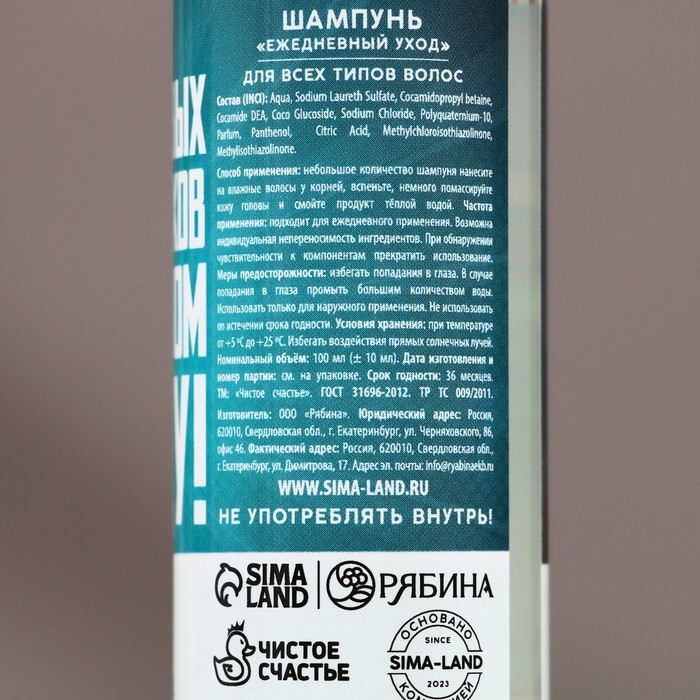 Подарочный набор косметики &laquo;Новых побед&raquo;, гель для душа и шампунь для волос, 2 х 100 мл, Новый Год