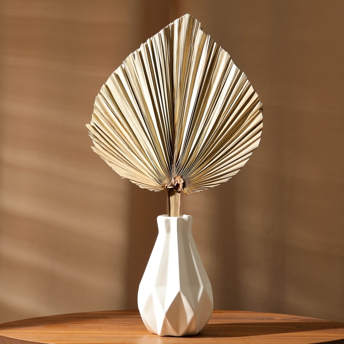 Сухие цветы &laquo;Лист пальмовый&raquo;, 50 &times; 25 &times; 2 см