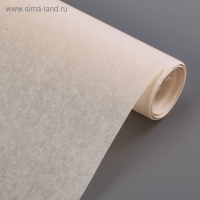 Подпергамент, марка «П», 38 см×8 м, плотность 45 гр/м2 Подпергамент, марка «П», 38 см×8 м, плотность 45 гр/м2