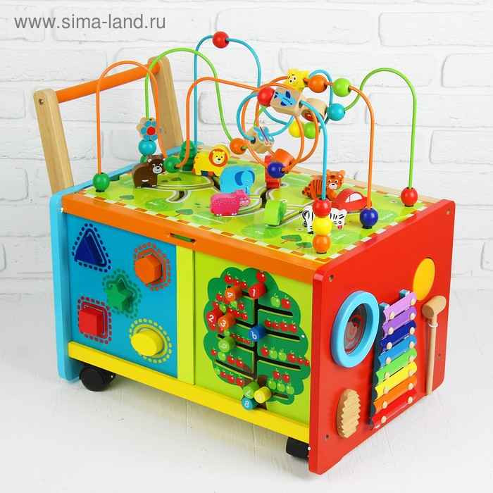 Развивающий центр с каталкой