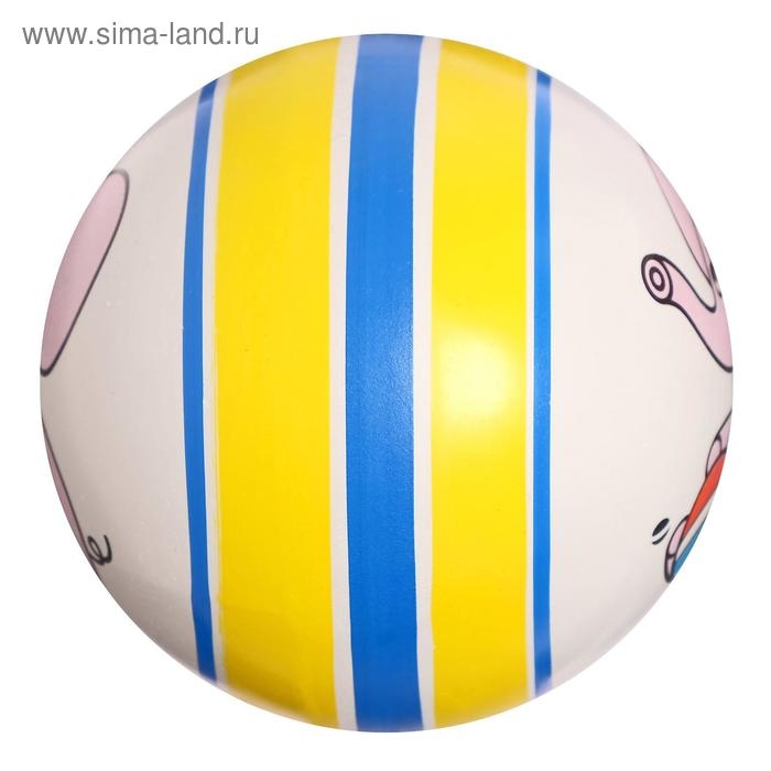 Мяч резиновый, диаметр 100 мм, (рисунок), цвета МИКС Мяч резиновый, диаметр 100 мм, (рисунок), цвета МИКС