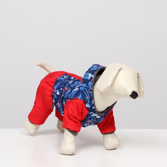 Комбинезон зимний для животных "Лыжник", S (ДС 20-22, ОШ 24-26, ОГ 32-34 см), микс