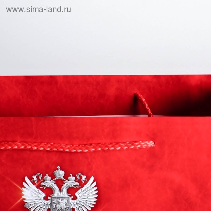 Пакет подарочный ламинированный вертикальный, упаковка, &laquo;23 февраля!&raquo;, MS 18 х 23 х 10 см