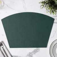 Салфетка сервировочная на стол «Тэм», 30×44 см, цвет зелёный Салфетка сервировочная на стол «Тэм», 30×44 см, цвет зелёный