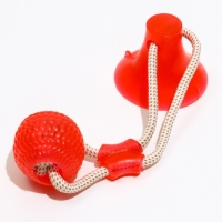 Игрушка для собак "Шар на присоске", 40 см, микс цветов Игрушка для собак "Шар на присоске", 40 см, микс цветов