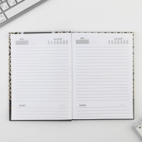 Ежедневник &laquo;Каждый день - шаг на пути к успеху&raquo; А5, 80 листов