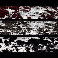 Паутинка с фольгой для ногтей, переводная, 20 х 10 см, 6 шт, в пластиковом органайзере, цвет разноцветный/серебристый Паутинка с фольгой для ногтей, переводная, 20 х 10 см, 6 шт, в пластиковом органайзере, цвет разноцветный/серебристый