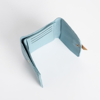 Кошелёк женский на кнопке, цвет голубой Кошелёк женский на кнопке, цвет голубой