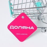 Корзина для мелочей Доляна, 12,5&times;8&times;11 см, цвет МИКС