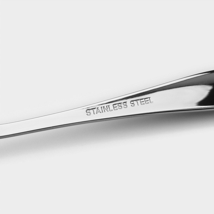 Ложка столовая из нержавеющей стали &laquo;Милано&raquo;, длина 18,5 см, цвет серебряный