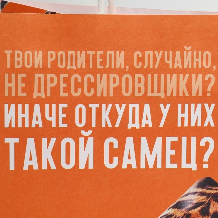 Пакет подарочный, упаковка, &laquo;Самец&raquo;, 22 х 22 х 11 см