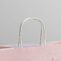 Пакет подарочный, упаковка, &laquo;Киса&raquo;, 22 х 22 х 11 см