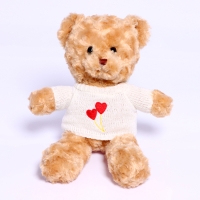 Мягкая игрушка «Мишка в футболке», 30 см, цвета МИКС Мягкая игрушка «Мишка в футболке», 30 см, цвета МИКС